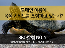 cover - seo domain check